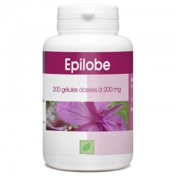 Epilobe 200 mg x 200 gélules
