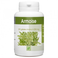 Armoise - 200 gél. x 250 mg