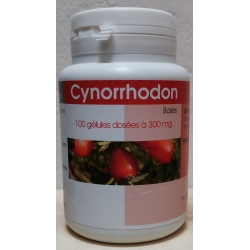 Cynorrhodon 250 mg x 100 gélules