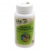 Papaye fermentée 100 comprimés