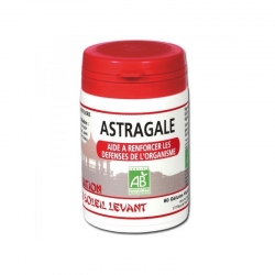 Astragale 60 gélules végétales x 325 mg