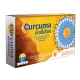 Curcuma Evolution - 510 mg x 60 gélules