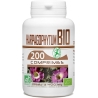 Harpagophytum Bio 400mg (200 comprimés)