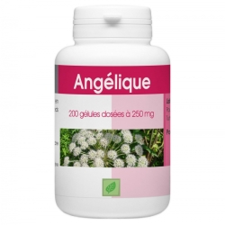 Angélique - 250 mg x 200 gélules