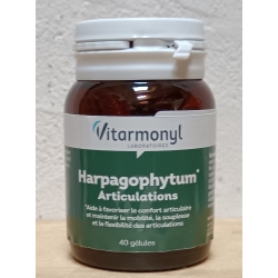 Harpagophytum Articulations - 40 gélules