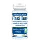 Flexilium 120 gélules