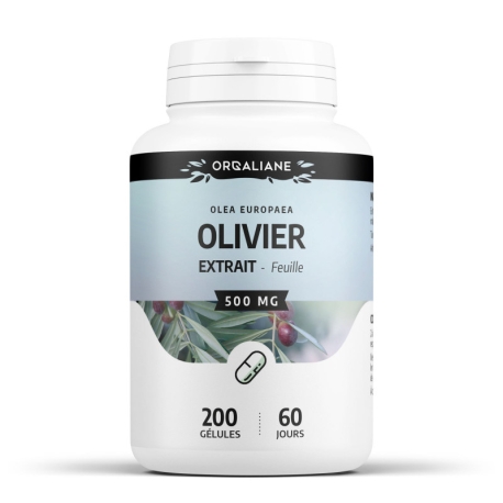 Olivier (extrait de feuilles) 500 mg x 200 gélules