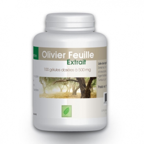 Olivier (extrait de feuilles 7%) 500 mg x 100 capsules