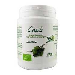 Cassis Bio 250 mg x 200 gélules