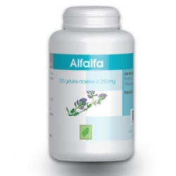 ALFALFA 250 mg x 200 gélules